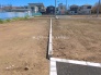 1号地  2026/04/08m