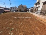 1号地  2026/03/12m