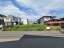 1号地 