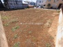 1号地  2026/03/12m