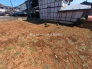 2号地  2026/03/12m