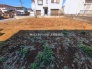 2号地  2026/03/12m