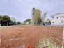 2号地  2026/04/24m