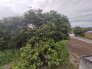 ゆったりとした緑地の多い立地ならでは！緑に包まれた環境です。
