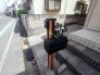 その他現地