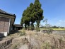 その他現地