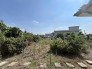 広々とした南庭は、太陽の下のリビングかもしれません。
