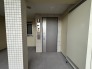 玄関は家の顔でもあります。広いと気持ちがいいですね！
