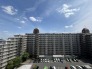 青い空と白い雲が広がる、心地よい開放感。
