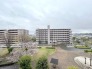 ゆったりとした緑地の多い立地ならでは！緑に包まれた環境です。
