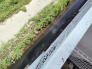 その他現地