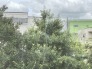 窓の外に広がる豊かな緑が、日々の暮らしに安らぎを添えてくれます。心落ち着く穏やかな眺望です。
