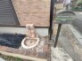 あると便利な水栓付きです。
