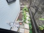 そんなに大きくはないけれど、お庭が持てるのが持家の魅力。
