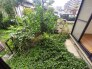 窓の外に広がる豊かな緑が、日々の生活に穏やかな彩りと季節の移ろいを感じさせてくれます。
