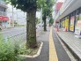 その他現地