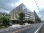 街並みにゆったりと馴染む重厚なフォルムと、丁寧に整えられた植栽が落ち着きある日常の始まりを感じさせてくれます
