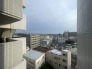 空を広く見渡せる開放的な眺望が、日々の暮らしに心地よいゆとりと落ち着いた時間をもたらしてくれます
