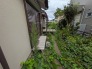 緑豊かな植栽が建物の外観と調和し、住まいの周囲に落ち着いた静かな空気感をもたらしています。