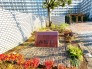 その他現地