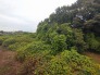 閑静な住宅地で叶える、穏やかな新生活が待ってます。
