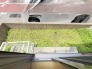 季節のお花を少し楽しむのにちょうどいいサイズのお庭です。
