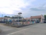 保育園