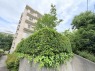 サブ画像2
