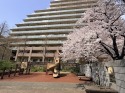 サブ画像2