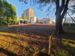 現地土地