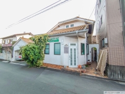 1号地 現地土地写真