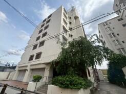 街の風景に穏やかに溶け込み、時を重ねるごとに愛着が深まっていく、落ち着いた佇まいを見せる外観です。