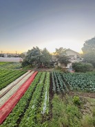 家の横が緑地になっているので解放感を感じられるロケーションです。