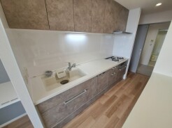 お料理をしながらリビングの家族やゲストとの会話が楽しめるタイプのキッチン。毎日のお料理を楽しく快適に。