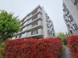 マンション