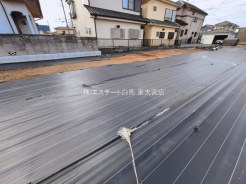 6号地