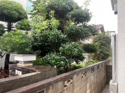 閑静な住宅地で叶える、穏やかな新生活が待ってます。