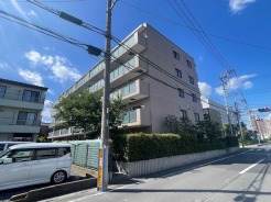 南側に面した、陽当たり良好なお部屋です。