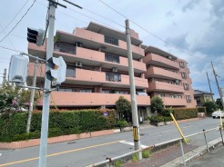 全49戸のコミュニティ。平成12年1月築。