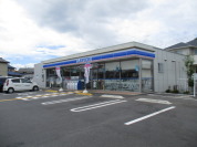 ローソン桶川川田谷南店