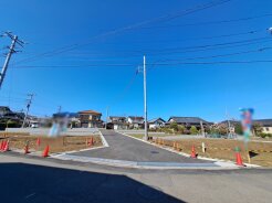 入間市大字野田
