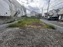1号地