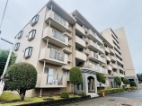 マンション