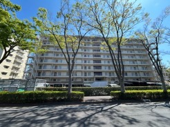 完成物件だから、引っ越したあとの配置や動線も分かりやすい。