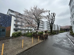 五感で感じる、現地でしかわからない事も沢山ございます。周辺環境なども一緒にご案内いたしますのでお気軽にお問合せください。