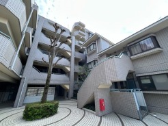 志木市柏町5丁目