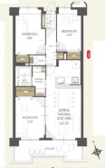 南西向きで明るいお部屋です。当日のご見学も可能です。