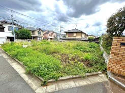 杉並区善福寺4丁目