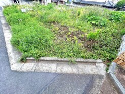 杉並区善福寺4丁目