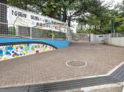 中野区立桃花小学校